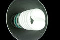 File:120px-8450-a-compact-fluorescent-light-bulb-pv.jpg