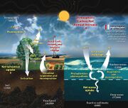 File:180px-780px-Carbon cycle.jpg