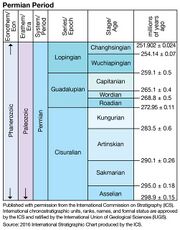 File:180px-501px-ICS Permian.jpg
