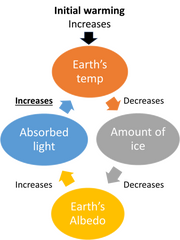 File:180px-449px-Ice Albedo feedback.png