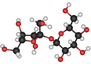 File:Sucrose molecule 3d model resized.png