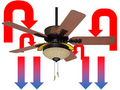 File:120px-240px-Summer.png