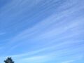 File:120px-300px-Cirrus fibratus and Cirrocumulus.jpg