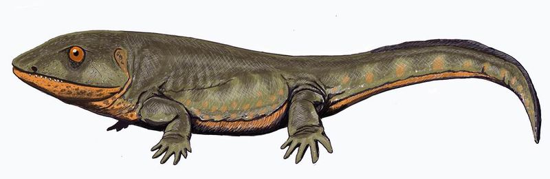 File:800px-Pederpes22small.jpg