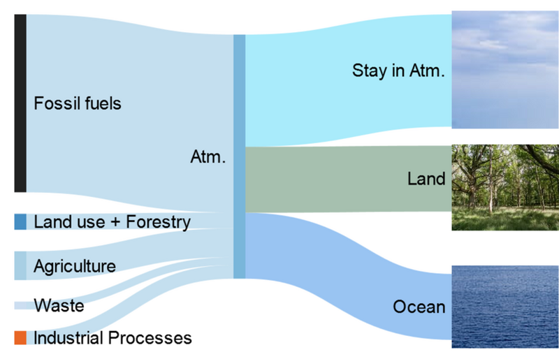 File:800px-820px-Anthropogenic carbon emission Sankey.png