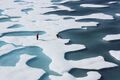 File:120px-1200px-2560px-Ponds on the Ocean, ICESCAPE.jpg