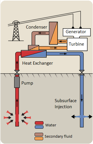 Draw a Neat Labelled Diagram and Explain the Process of Generating  Electricity from Geothermal Energy. - Environmental Studies | Shaalaa.com