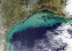 File:240px-1200px-Sediment in the Gulf of Mexico (2).jpg