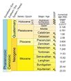 File:104px-Chronostratchart1.jpg