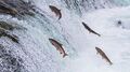 File:120px-180px-3032039-poster-p-shutterstock148260731.jpg