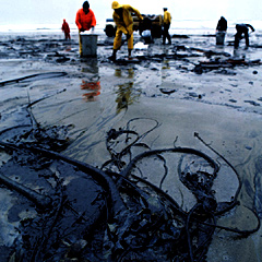 File:Oil-spill.jpg