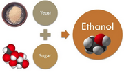 File:180px-640px-Ethanol Fermentation.png
