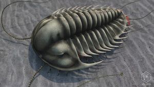 File:300px-Camb Olenoides serratus 3d.jpg