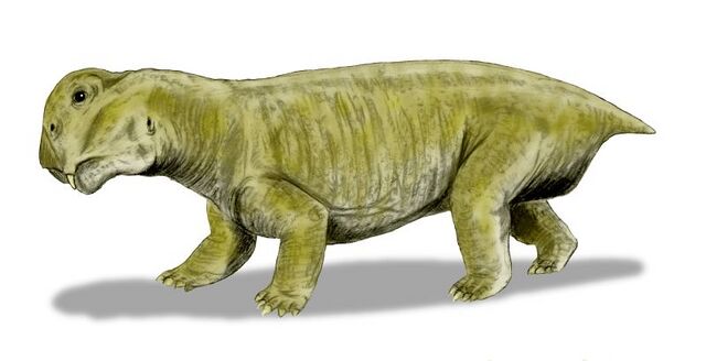 File:640px-Lystrosaurus BW.jpg