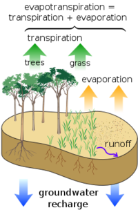 File:200px-Watercycle.png