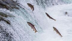 File:240px-700px-3032039-poster-p-shutterstock148260731.jpg