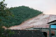 File:180px-800px-Hillside deforestation.jpg