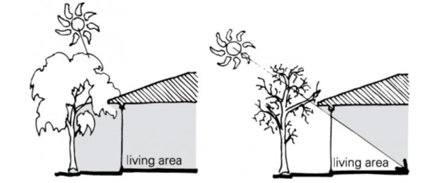 File:600px-Shading.png