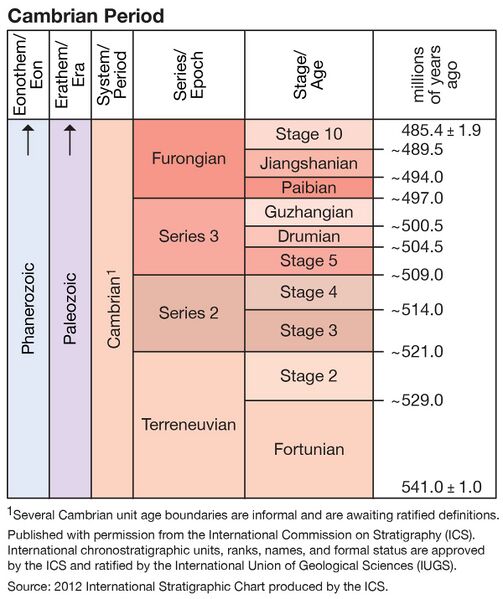 File:503px-1200px-ICS Cambrian.jpg
