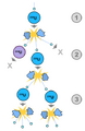 File:78px-300px-2000px-Fission chain reaction.svg.png