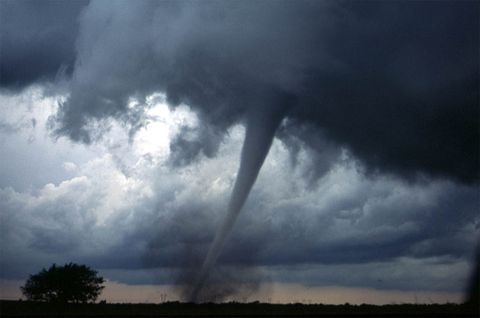 File:480px-Nado.jpg
