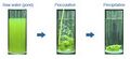 File:120px-180px-FlocculationProcess.jpg