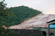 File:180px-450px-Hillside deforestation.jpg