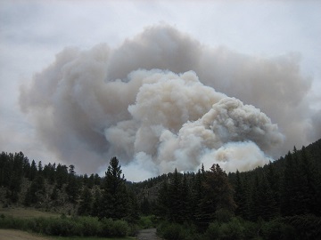 File:Smoke column - High Park Wildfire (1).jpg