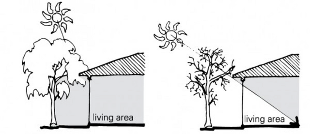 File:640px-Shading.png