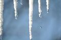 File:120px-180px-Ice-263823 640.jpg