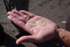 File:240px-USGS Hydraulic Fracturing Sand.jpg