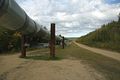 File:120px-Alaska-67304 640.jpg