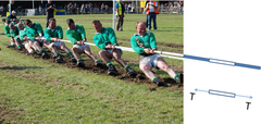 File:240px-480px-Tug Of War Tension.png
