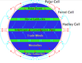 File:120px-180px-Prevailingwinds.png