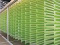 File:120px-VerticalBagBioreactor.jpg