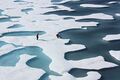 File:120px-180px-Ponds on the Ocean, ICESCAPE.jpg