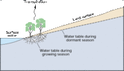 File:180px-Wctranspirationwatertable.gif