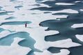 File:120px-300px-Ponds on the Ocean, ICESCAPE.jpg