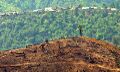 File:120px-480px-Deforestation in Burma.jpg