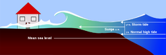 File:240px-1230px-1280px-Surge-en.svg.png