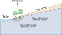 File:240px-Wctranspirationwatertable.gif