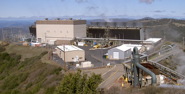 File:Sonoma Plant.png