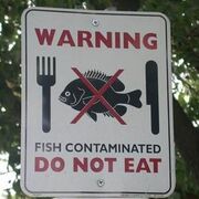 File:180px-300px-Contaminated fish .jpg
