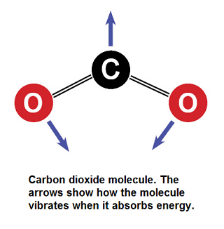 carbon dioxide molecule