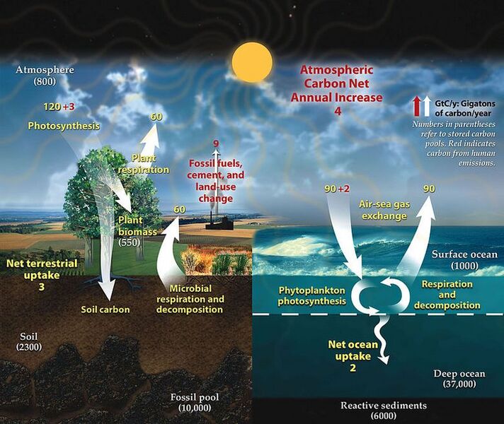 File:712px-780px-Carbon cycle.jpg