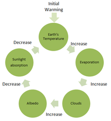 File:219px-Negativefeedbackloop2.png