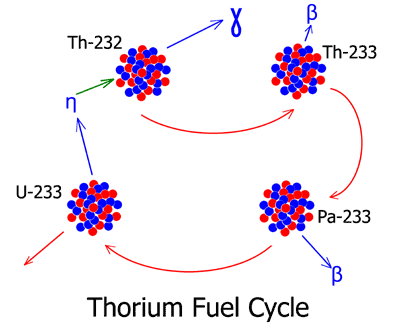 ThoriumFuelCycle.gif