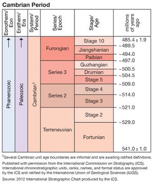 File:300px-ICS Cambrian.jpg