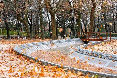 File:405px-Leavesblow.jpg