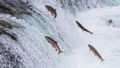File:120px-3032039-poster-p-shutterstock148260731.jpg